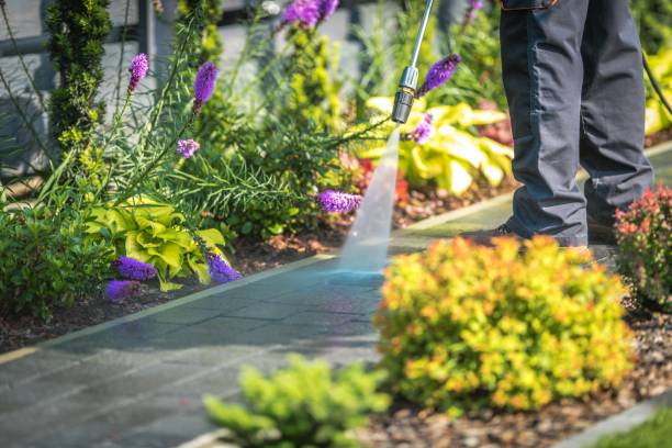 Reliable South Palm Beach, FL Pressure Washing Solutions